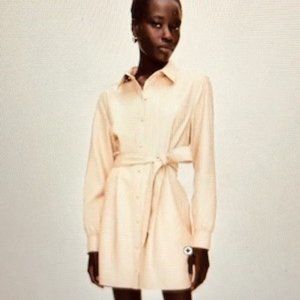 Aritzia - Wilfred - Caroline Leather Dress